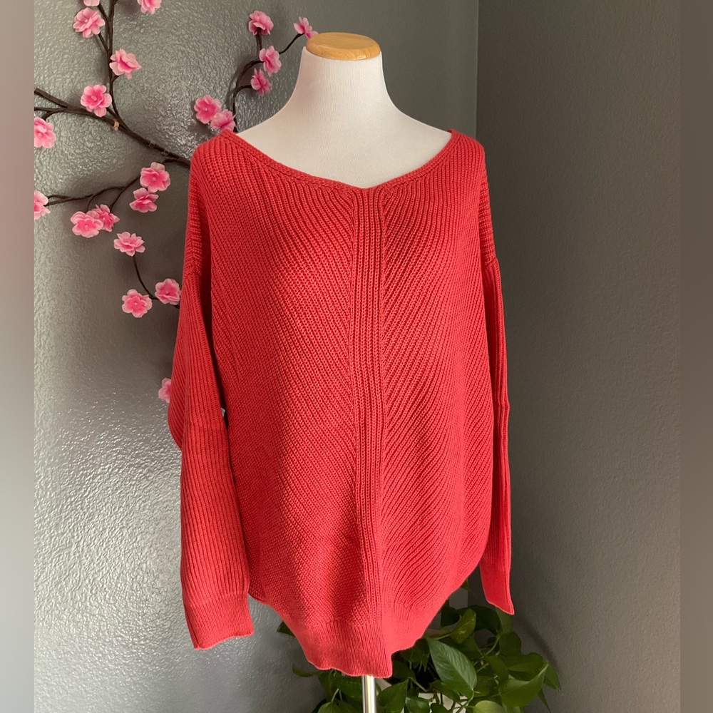Terra & Sky Women's V-Neck Sweater